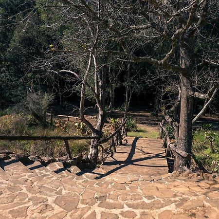 Anew Resort Ingeli Forest Kokstad 코크슈타트 외부 사진