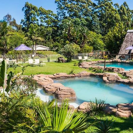 Anew Resort Ingeli Forest Kokstad 코크슈타트 외부 사진